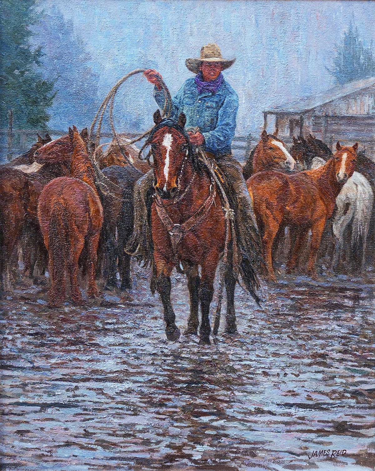 ./Day_It_Rained__1200_pixels_1783174561904