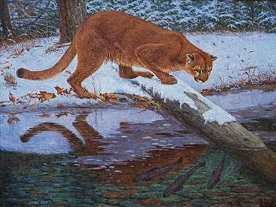 ./Reid_Winter_s_Reflection_-_Mountain_Lion_400_px_copy_1772851972416